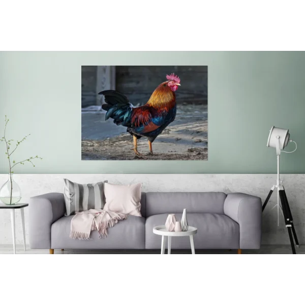 MuchoWow Impression Sur Verre Coq Coloré à La Ferme Tableau Decoration Murale… Boutique 3