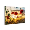 MuchoWow Impression Sur Verre Coquelicots Rouges Au Lever Du Soleil Tableau Dec… vente à bas prix 13