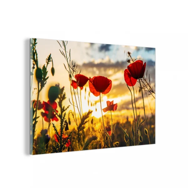 Acheter MuchoWow Impression Sur Verre Coquelicots Rouges Au Lever Du Soleil Tableau Dec… 1