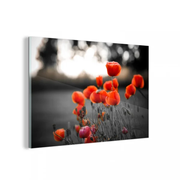 grossiste MuchoWow Impression Sur Verre Coquelicots Rouges Sur Fond Noir Et Blanc Tableau… 1