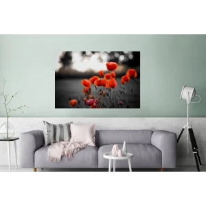 grossiste MuchoWow Impression Sur Verre Coquelicots Rouges Sur Fond Noir Et Blanc Tableau… 6