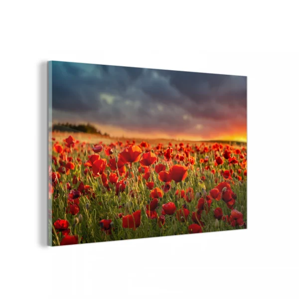 Acheter MuchoWow Impression Sur Verre Coucher De Soleil – Coquelicots – Rouge Tableau D… 1