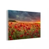 MuchoWow Impression Sur Verre Coucher De Soleil – Coquelicots – Rouge Tableau D… commentaire favorable 19