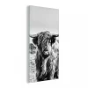 MuchoWow Impression Sur Verre Highlander écossais – Vache – Noir – Blanc Table… excellent qulity 5