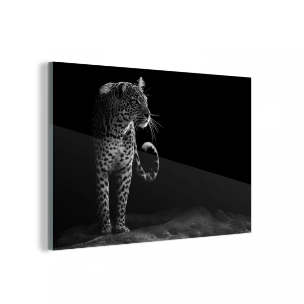 MuchoWow Impression Sur Verre Léopard – Noir – Blanc Tableau Decoration Murale… soldes magasin 1