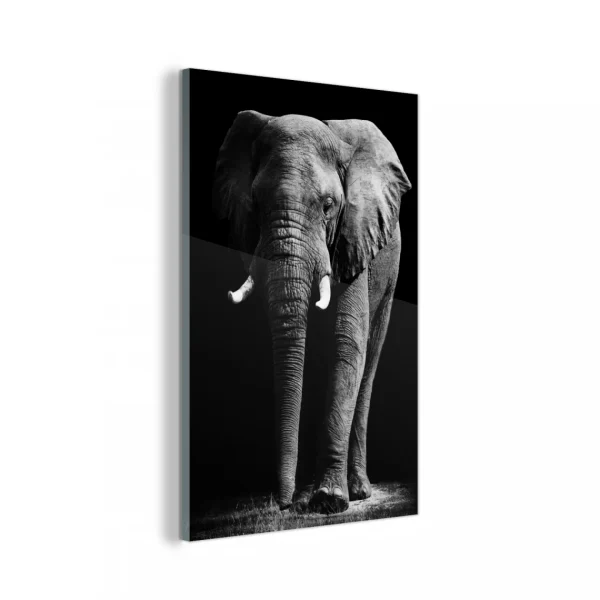 MuchoWow Impression Sur Verre Éléphant – Noir – Blanc – Animaux Sauvages Tabl… magasin france 1