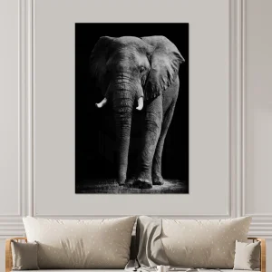 MuchoWow Impression Sur Verre Éléphant – Noir – Blanc – Animaux Sauvages Tabl… magasin france 7