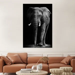 MuchoWow Impression Sur Verre Éléphant – Noir – Blanc – Animaux Sauvages Tabl… magasin france 9