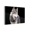 MuchoWow Impression Sur Verre Loup Gris Sauvage Tableau Decoration Murale Salon… Retour gratuit en magasin. 8