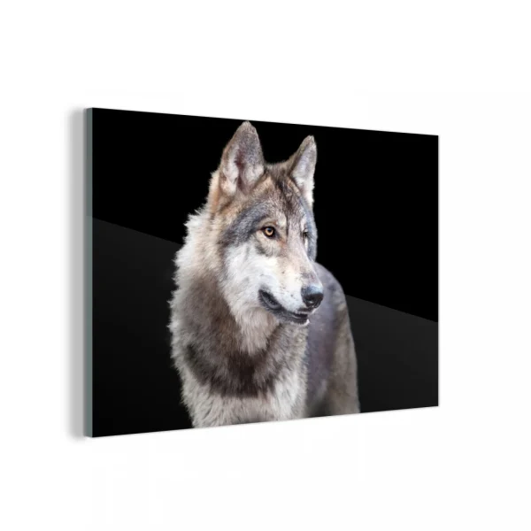 MuchoWow Impression Sur Verre Loup Gris Sauvage Tableau Decoration Murale Salon… Retour gratuit en magasin. 1