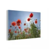 soldes officiel MuchoWow Impression Sur Verre Soleil éclatant Sur Des Coquelicots En Espagne T… 16