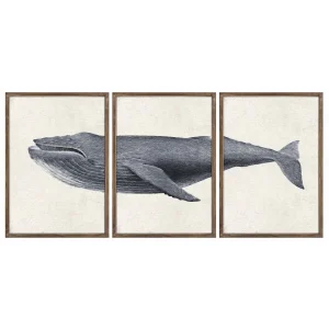 Jeu De 3 Tableaux DKD Home Decor Baleine (150 X 2 X 70 Cm) achetez pas cher 12