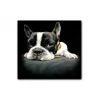 magasin pour DECLIKTABLEAU Tableau Animaux Chien Bulldog Relax 50X50 Cm 16