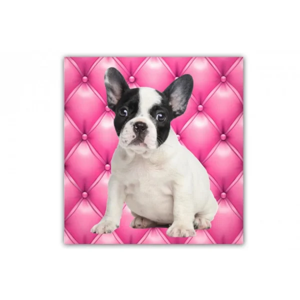 De super promotions disponibles DECLIKTABLEAU Tableau Animaux Chien Bulldog Fond Rose Capitonné 50X50 Cm 1