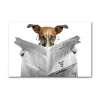 Livraison Standard/Rapide DECLIKTABLEAU Tableau Animaux Chien Lisant Le Journal L.55 X H.80 Cm 16