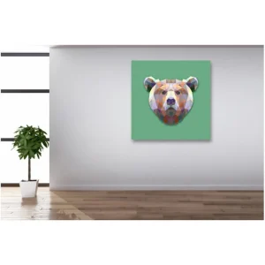 en ligne vente DECLIKTABLEAU Tableau Animaux Ours Vert 50X50 6