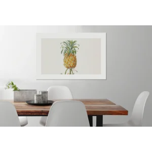 MuchoWow Tableau Sur Toile Ananas – Plante – Aliment Decoration Murale 90×60 Cm shopping pas cher 6