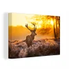 MuchoWow Tableau Sur Toile Cerf – Hiver – Coucher De Soleil Decoration Murale 1… aux meilleurs prix 17