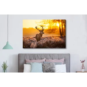 à prix très bas MuchoWow Tableau Sur Toile Cerf – Hiver – Coucher De Soleil Decoration Murale 1… 15