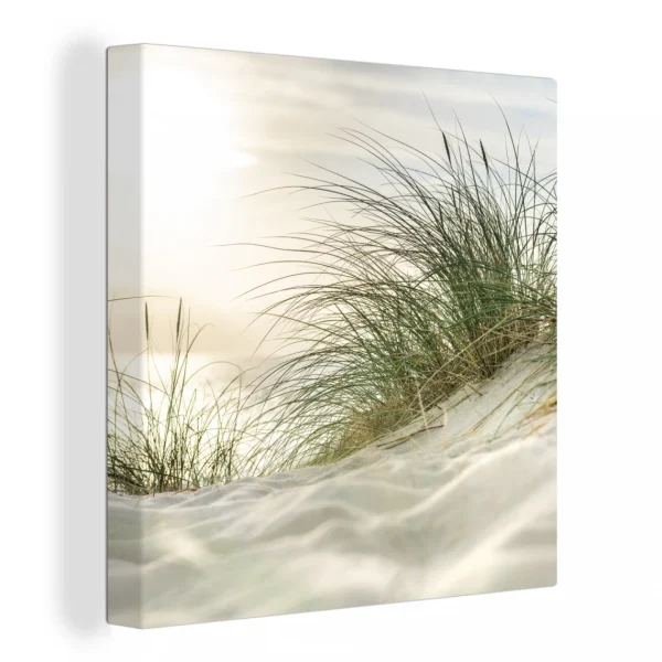 grand choix MuchoWow Tableau Sur Toile Dunes Avec Herbes De Plage Sous Le Soleil Du Parc Na… 1