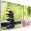 soldes en ligne Decoshop26 Tableau Sur Toile En 3 Panneaux Décoration Murale Image Imprimée Cad… 10