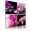 Decoshop26 Tableau Sur Toile En 4 Panneaux Décoration Murale Image Imprimée Cad… Retour Gratuit 19