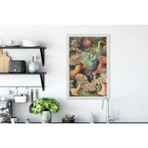 MuchoWow Tableau Sur Toile Ernst Haeckel – Anémone – Rétro – Actinae Decorati… achat pas cher 11