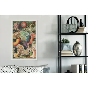 MuchoWow Tableau Sur Toile Ernst Haeckel – Anémone – Rétro – Actinae Decorati… achat pas cher 13