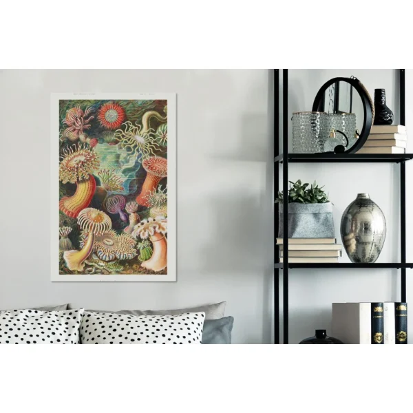 MuchoWow Tableau Sur Toile Ernst Haeckel – Anémone – Rétro – Actinae Decorati… achat pas cher 5