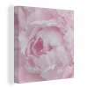 MuchoWow Tableau Sur Toile Gros Plan Et Vue De Dessus D’une Pivoine Rose Decora… à prix d'occasion 5