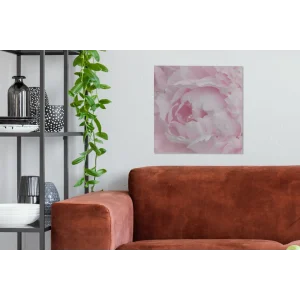 MuchoWow Tableau Sur Toile Gros Plan Et Vue De Dessus D’une Pivoine Rose Decora… à prix d'occasion 9