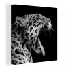 MuchoWow Tableau Sur Toile Jaguar – Animal – Noir – Blanc Decoration Murale 20x… marques de renommée 16