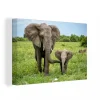 a Prix Discount MuchoWow Tableau Sur Toile Éléphant – Nature – Parc Decoration Murale 60×40 C… 17