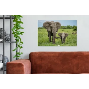 a Prix Discount MuchoWow Tableau Sur Toile Éléphant – Nature – Parc Decoration Murale 60×40 C… 9