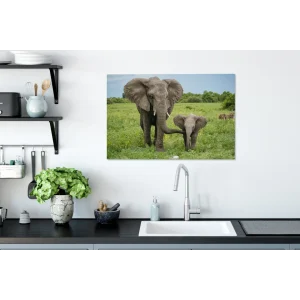 a Prix Discount MuchoWow Tableau Sur Toile Éléphant – Nature – Parc Decoration Murale 60×40 C… 11