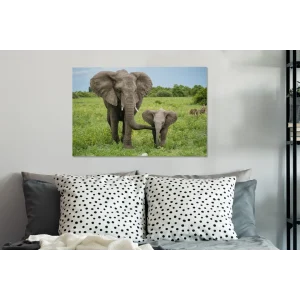 a Prix Discount MuchoWow Tableau Sur Toile Éléphant – Nature – Parc Decoration Murale 60×40 C… 13