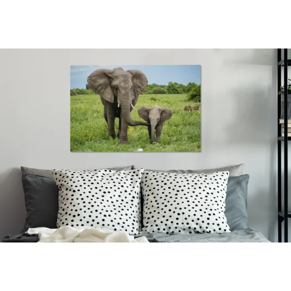 a Prix Discount MuchoWow Tableau Sur Toile Éléphant – Nature – Parc Decoration Murale 60×40 C… 5