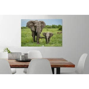 a Prix Discount MuchoWow Tableau Sur Toile Éléphant – Nature – Parc Decoration Murale 60×40 C… 15