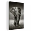 remise en ligne MuchoWow Tableau Sur Toile Éléphant – Noir – Blanc – Namibie Decoration Mural… 17