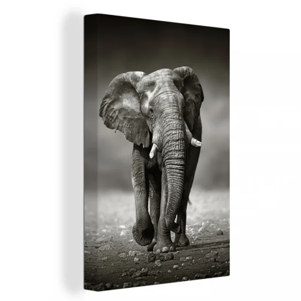 remise en ligne MuchoWow Tableau Sur Toile Éléphant – Noir – Blanc – Namibie Decoration Mural… 1