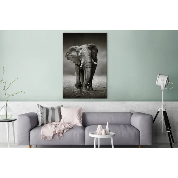 remise en ligne MuchoWow Tableau Sur Toile Éléphant – Noir – Blanc – Namibie Decoration Mural… 3