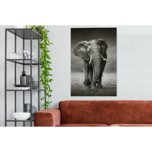 remise en ligne MuchoWow Tableau Sur Toile Éléphant – Noir – Blanc – Namibie Decoration Mural… 11