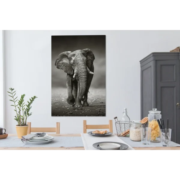 remise en ligne MuchoWow Tableau Sur Toile Éléphant – Noir – Blanc – Namibie Decoration Mural… 5