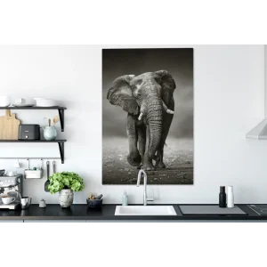 remise en ligne MuchoWow Tableau Sur Toile Éléphant – Noir – Blanc – Namibie Decoration Mural… 15