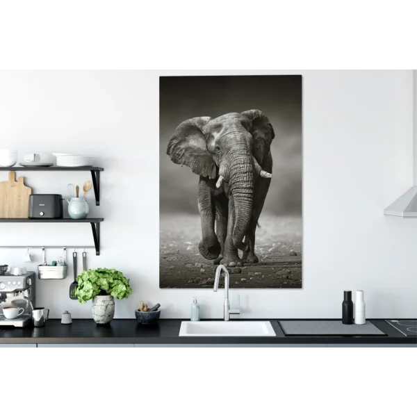 remise en ligne MuchoWow Tableau Sur Toile Éléphant – Noir – Blanc – Namibie Decoration Mural… 6