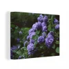 boutiqued pas cher MuchoWow Tableau Sur Toile Obscurité Autour D’un Hortensia Dans Un Jardin Deco… 10