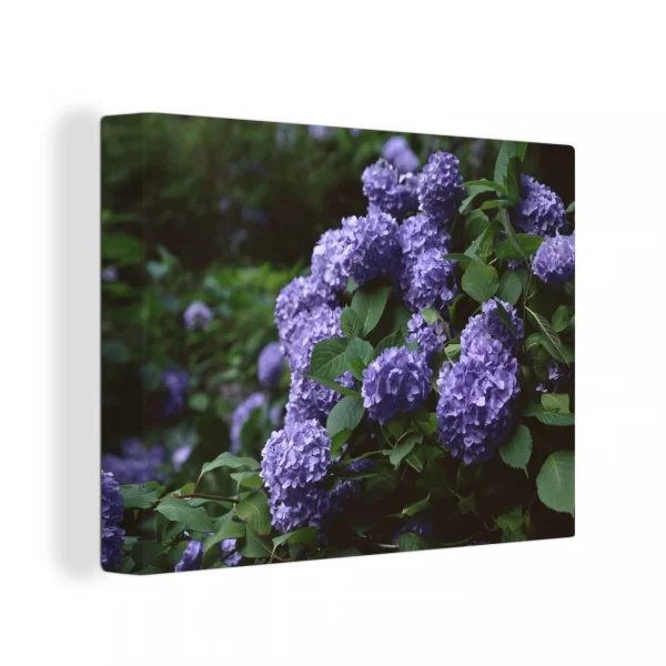 boutiqued pas cher MuchoWow Tableau Sur Toile Obscurité Autour D’un Hortensia Dans Un Jardin Deco… 1