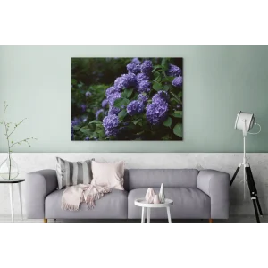 boutiqued pas cher MuchoWow Tableau Sur Toile Obscurité Autour D’un Hortensia Dans Un Jardin Deco… 9