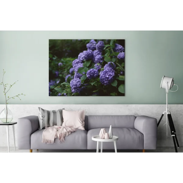 boutiqued pas cher MuchoWow Tableau Sur Toile Obscurité Autour D’un Hortensia Dans Un Jardin Deco… 3