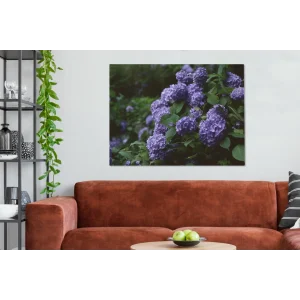 boutiqued pas cher MuchoWow Tableau Sur Toile Obscurité Autour D’un Hortensia Dans Un Jardin Deco… 11